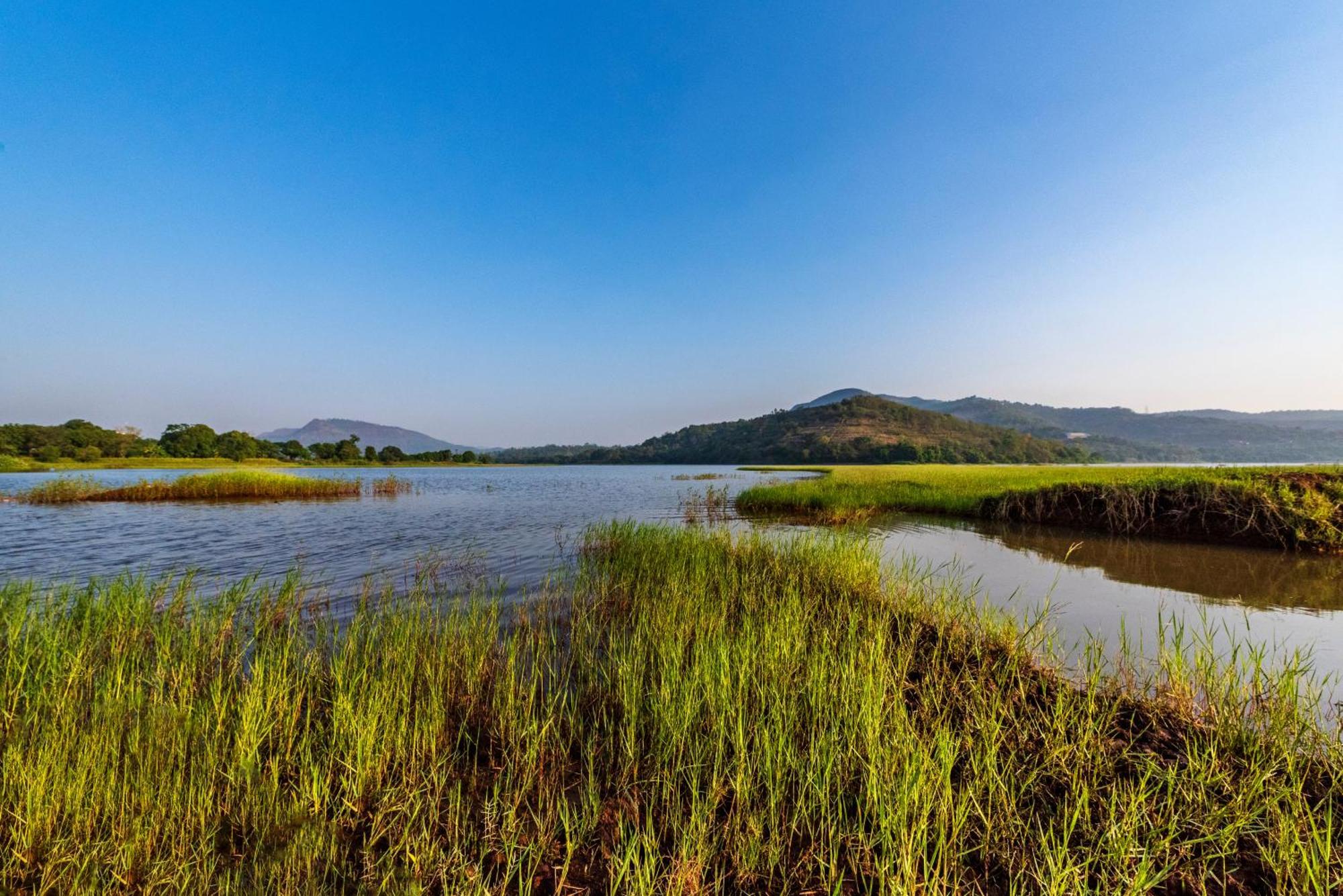 Saffronstays Lakeview Nivara - Farm Stay Villa With Private Pool Near Pune Zewnętrze zdjęcie